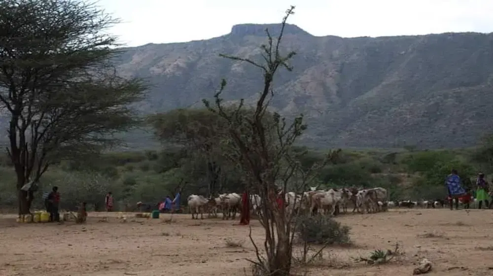 Drought threatens fight against FGM in West Pokot County