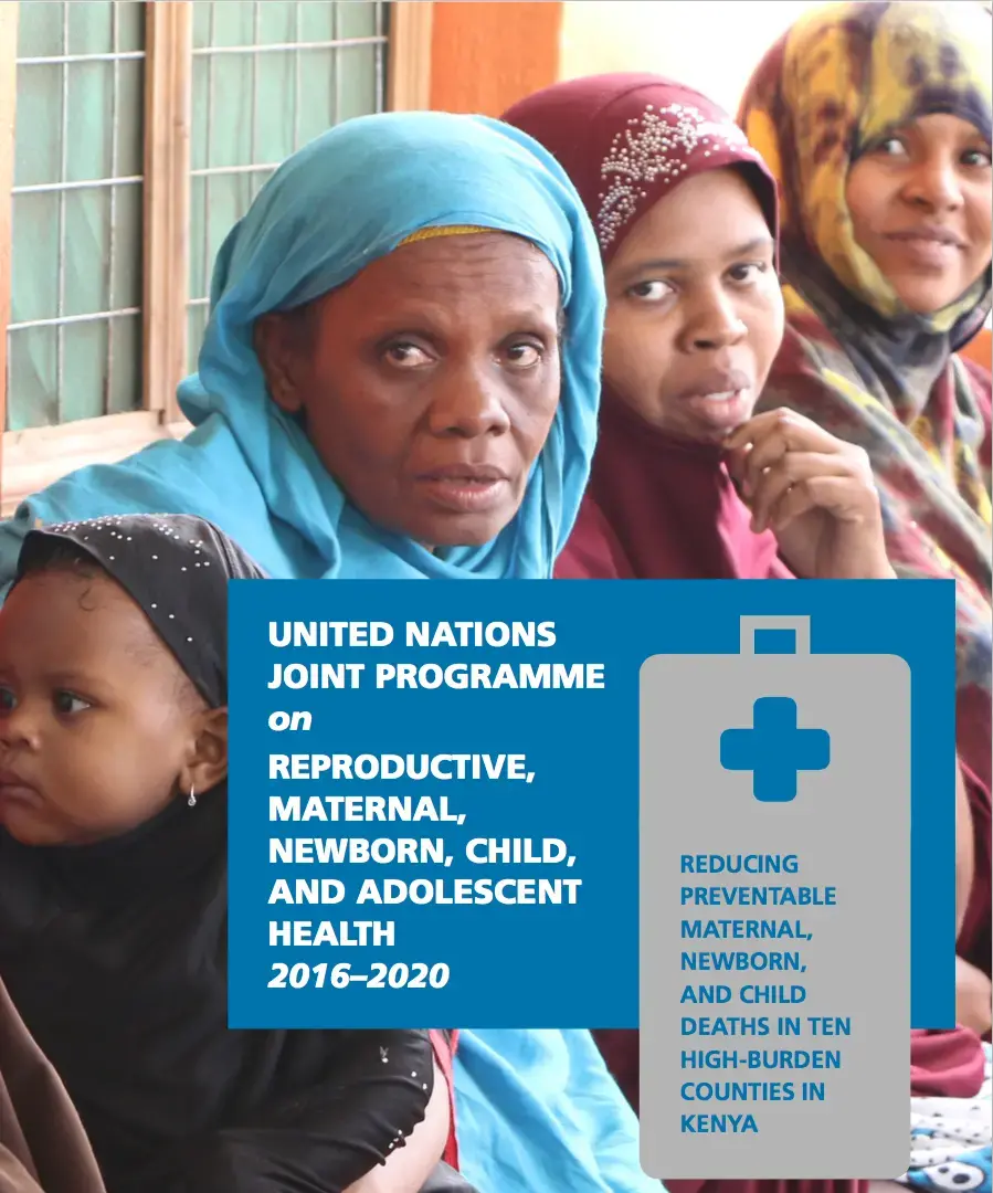 UN Joint Programme on Reproductive, Maternal, Newborn, Child, and Adolescent Health